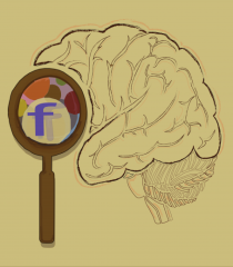 Our Brain - Creierul nostru..