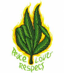 Peace Love Respect