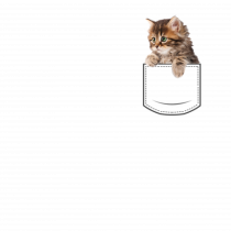 Pocket kitten 2 