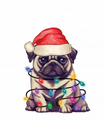 de Craciun cu luminite - Pug