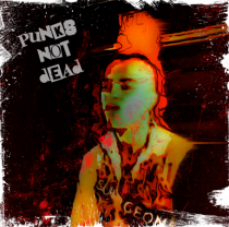 the exploited- punks not dead