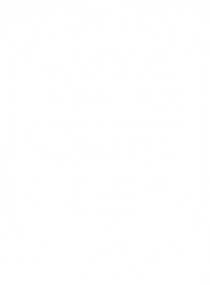 RACER