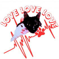 Pisi love 