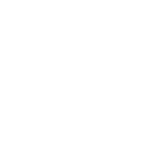Brid Game