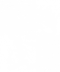 MUSIC Never Dies - Skull