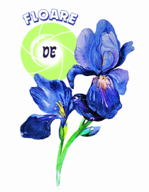 Floare de Iris