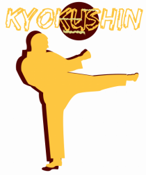 Kyokushin Karate 