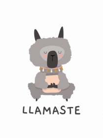 LLAMASTE