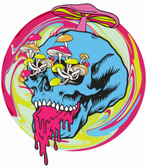 Magic Mushroom Psychedelic Trippy Skull