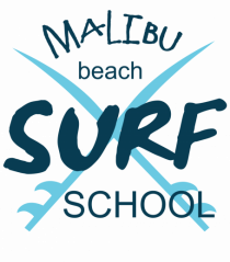 Malibu beach surf school