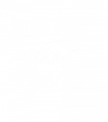 Mama Bear