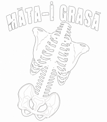 Mata-i Grasa