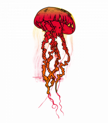 Meduza