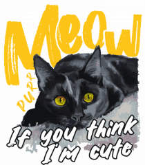 Meow - If you think I'm cute