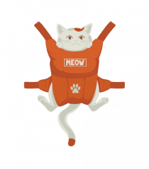 Cat backpack