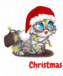 Merry Christmas...? Nu... Meowy Christmas!