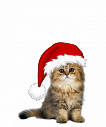 Merry Christmas...? Nu... Meowy Christmas!!