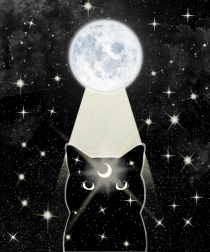 Moon Cat