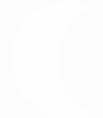 Moon Flower