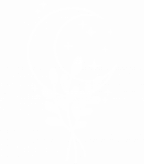 Moon Flower