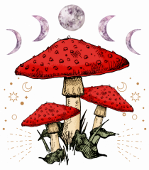 Moon Phase Psychedelic Mushroom