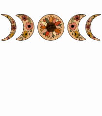 Moon Phases