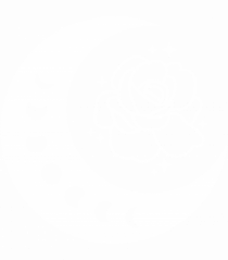 Celestial Moon Phases Flowers
