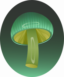 Magic mushroom