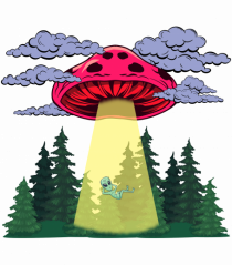 Mushroom Alien Psychedelic Space Ufo