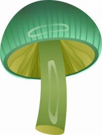 Magic mushroom