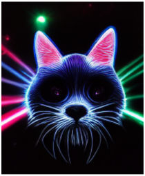 disco cat