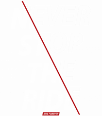 Never Stop The Ride