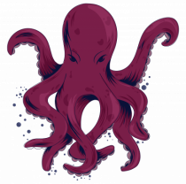 Octopus friend