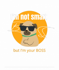 Boss dog