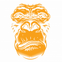 Orange monkey