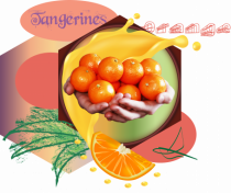 Tangerines