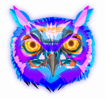 Skull Neon Owl