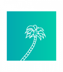 Summer Palmtree