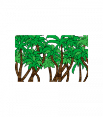 Boxed Palmtrees