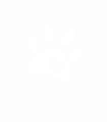 Paw #