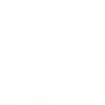 Life is better with my rescue