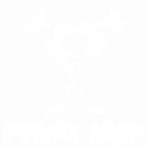 Pearl Jam 4