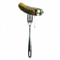 Pickle 01