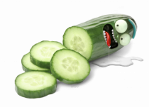 Pickle 08