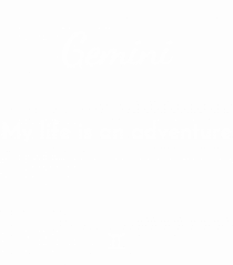 gemini my life is an adventure