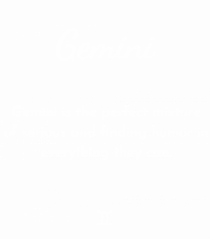 gemini is the perfect...