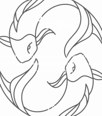 pisces i don t wanna get involved...
