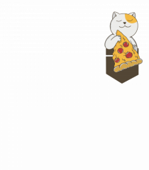 Pizza Cat