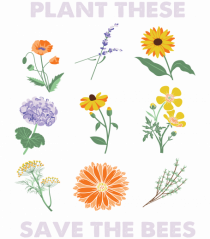 Plant These Save the Bees