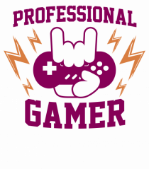Professional Gamer